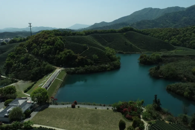 建設智慧生態(tài)茶園，托普云農(nóng)為西湖龍井茶“保駕護航”
