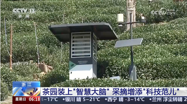 央視、人民網(wǎng)等權(quán)威媒體聚焦西湖龍井：托普云農(nóng)“黑科技”點(diǎn)亮千年茶香智變之路
